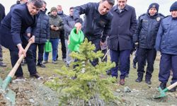 Bilecik'ten kısa kısa