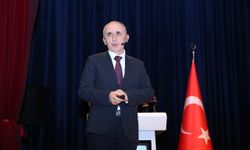 Sakarya'da akademisyenlerin geliştirdiği yerli feromon kahverengi kokarcayla mücadelede kullanılacak