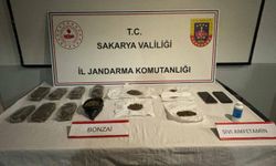 Sakarya'da uyuşturucu operasyonunda yakalanan 2 zanlı tutuklandı