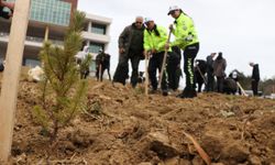 Tekirdağ'da bu yıl 300 bin fidan toprakla buluşacak