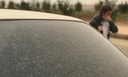 Kuzeybatıda toz taşınımına dikkat!