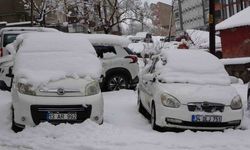 Bitlis’te kar yağışı: 80 köy yolu ulaşıma kapandı