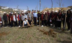 Eğil’de "Narin Hatıra Ormanı" için ilk fidanlar dikildi