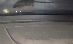 Elazığ’da seyir halindeki otomobilin ön camına ’fare’ kondu