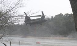 Japonya’da 4 gündür süren orman yangınları 1 eyalete daha sıçradı