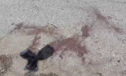 Komşu iki esnaf sopalar ile birbirine girdi: 7 yaralı