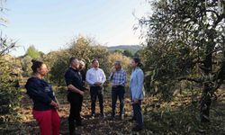 Muğla Büyükşehir’den ‘Don’dan zarar gören üreticilere destek