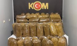 Niğde’de kaçak tütün operasyonu: 2 kişi tutuklandı