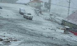 Posof güne kar ile uyandı