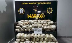Şırnak’ta 86 kilo skunkla yakalanan avukatlar tutuklandı