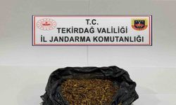 Tekirdağ’da jandarmadan uyuşturucu operasyonu