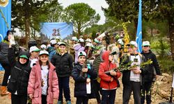 Yalova’da yanan 25 dönümlük orman alanı ağaçlandırıldı