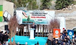Yeşilyurt Belediyesi’nden çiftçilere 44 bin meyve fidanı desteği