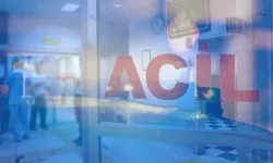 Hnedek’te arı sokması faciası: Yaşlı kadın hayatını kaybetti