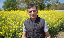Edirne'deki tıbbi ve aromatik bitkiler bahçesi çiftçilere alternatif ürünler sunuyor