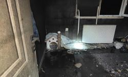 Gömeç'te yangında mahsur kalan kedi kurtarıldı