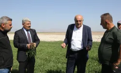Konya’da şeker pancarı ekimi başladı