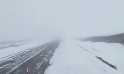 Ardahan-Çıldır kara yolunda kar yağışı etkili oldu