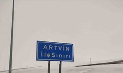 Ardahan’ın yüksek kesimlerinde kar yağışı etkili oldu