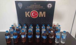 Aydın emniyeti KOM ekiplerinden 5 ilçede operasyon