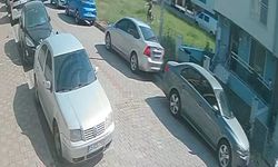 Aydın’da sınava giden öğrenciye köpek saldırdı