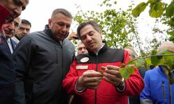 Bakan Yardımcısı Bağcı: "Cumhuriyet tarihinin en büyük zirai don hadisesi"