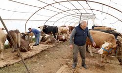 Başiskele’deki kurbanlık satış yerinde hazırlıklar tamam