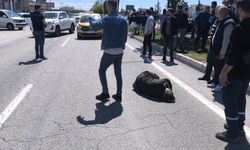 Batman’da otomobil yayalara çarptı: 2 yaralı