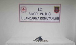 Bingöl’de ruhsatsız silah ele geçirildi