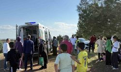 Direksiyon eğitimi sırasında yürüyüş yapan çifte ve ağaca çarptı