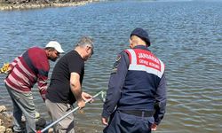 Diyarbakır’da göletteki balık ölümlerine inceleme