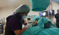 Doç. Dr. Sibel Özcan: ’’Kronik ağrı çözümsüz değildir’’