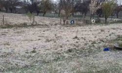 Dolu, hububatta kök hastalığına davetiye çıkardı