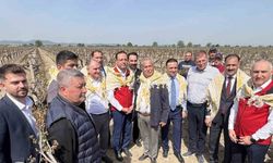 Don afetinden zarar gören üreticilerin yaptıkları masraflar karşılanacak