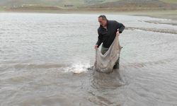 Elazığ’da 2 bin 500 metre ağ ve 500 kilo balık ele geçirildi