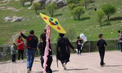 Elazığ’da uçurtma şenliğinde renkli görüntüler oluştu