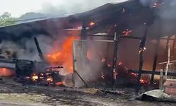 Elektrik kontağından çıkan yangın samanlığı küle çevirdi