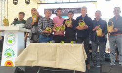 Gezende Erik Festivali’nin 15’incisi gerçekleştirildi