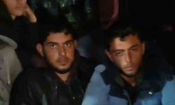 Göçmenleri tıka basa minibüse dolduran şahıs tutuklandı