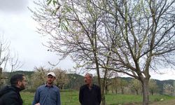 Gölpazarı’nda fenolojik gözlemler ve don riskine karşı önlemler