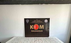Hatay’da bin 30 adet sikke ele geçirildi