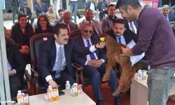 Iğdır’da güzellik yarışması düzenlendi