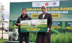İl genelindeki 127 yetiştiriciye 3 bin 72 koyun ve 128 koç teslim edildi