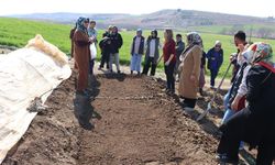 Kadın çiftçilerle sebze fidesi yetiştirme kursu düzenlendi