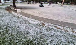 Kar değil polen