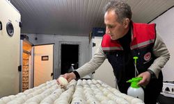 Kars’ta kaz yetiştiriciliğinde yeni dönem başlıyor