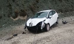 Kontrolden çıkan otomobil yol kenarındaki tabelaya çarptı: 2 yaralı