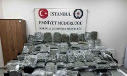 Maltepe’de petshop görünümlü depoda 100 kilo uyuşturucu ele geçirildi