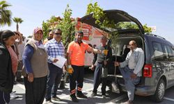 Mersin’de üreticilere Trabzon hurması fidanı dağıtılıyor