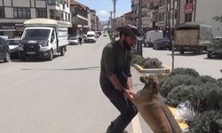 Seyyah Ömer, ‘Yoldaş’ ile 63. durağı olan Yozgat’ta fidan dikti